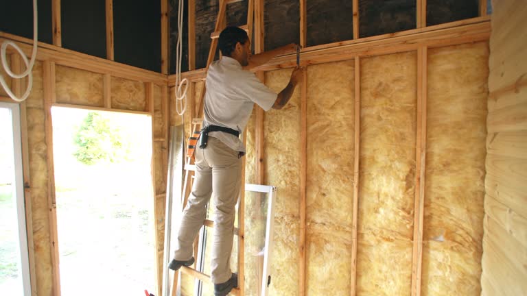 Best Basement Insulation  in Lacy Lakeview, TX